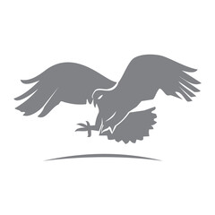 Eagle Hawk  Animal Symbol Creative luxury Modern mascot emblem template