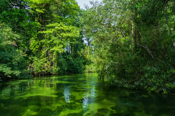 Weeki Wachee River, Florida