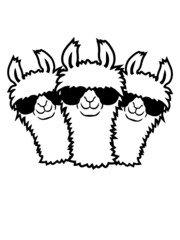 Team 3 Lama  © Style-o-Mat-Design