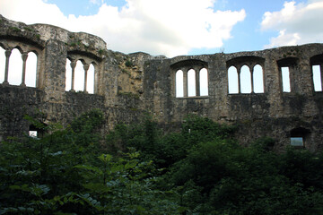 alte burgruine in der natur