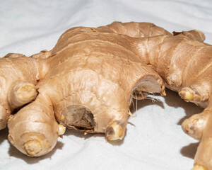 Eat Ur Fruits n' Veggies