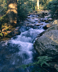 waterfall in the forest