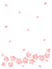 桜113　さくら　花　カード