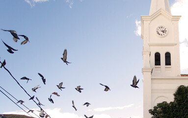vuelo de palomas sobre torre de iglesia