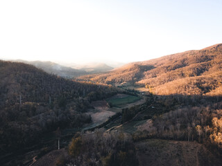 Fototapeta premium The road and trees in the evening from above,summer travel