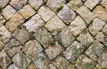 The ancient foundation, the fortress.