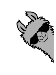 Alpaka guckt seitlich  © Style-o-Mat-Design