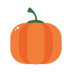 pumpkin vegetable icon, colorful design