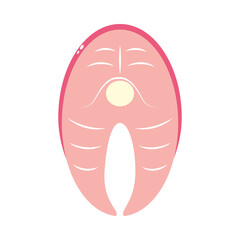 fish steak fillet icon, colorful design