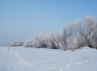 Winter fog in the vicinity of Omsk, Siberia Russia