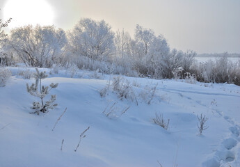 Winter fog in the vicinity of Omsk, Siberia Russia