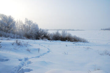 Winter fog in the vicinity of Omsk, Siberia Russia