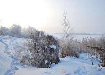Winter fog in the vicinity of Omsk, Siberia Russia