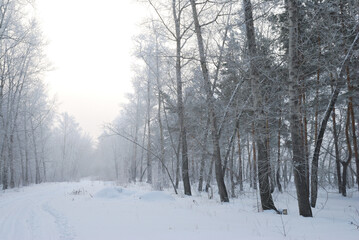 Winter fog in the vicinity of Omsk, Siberia Russia