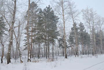 Winter fog in the vicinity of Omsk, Siberia Russia