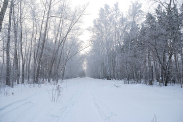 Winter fog in the vicinity of Omsk, Siberia Russia