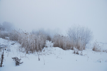 Winter fog in the vicinity of Omsk, Siberia Russia