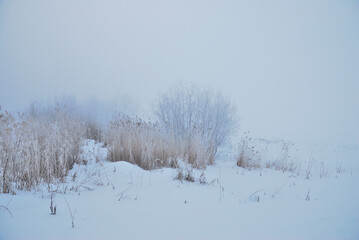 Winter fog in the vicinity of Omsk, Siberia Russia