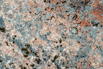 Colorful moss on the rock. Stone natural background