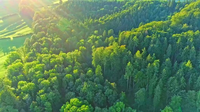 The aerial shot of a beautiful forest in a Swiss town