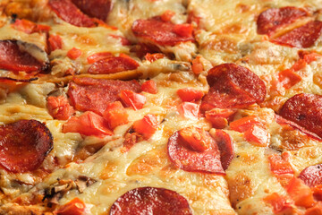 Pepperoni pizza filling close-up. Italian food concept. Appetizing pizza.