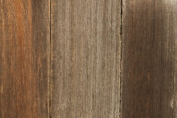 Obraz premium Wooden board fence texture detailed