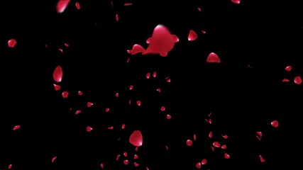 Red Rose Explosion with alpha channel. This work is explosion of petals red rose with alpha channel you can place on footage or background and easier to change color. - Powered by Adobe