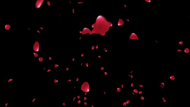 Red Rose Explosion with alpha channel. This work is explosion of petals red rose with alpha channel you can place on footage or background and easier to change color.