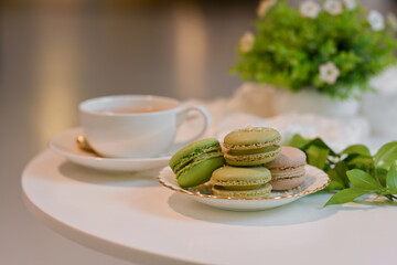 A plate of French Colorful Macarons and tea cup on coffee table decorated with flower pot
