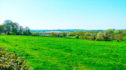 Green fields in the sunny rural countryside