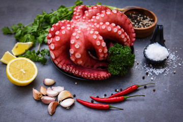 Octopus food salad vegetable with garlic lemon chili salt coriander parsley and pepper on black plate for boiled cooked seafood, Fresh squid octopus cuttlefish dinner restaurant
