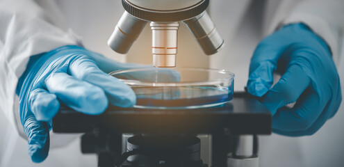 .Close up Researchers are testing samples under a microscope in a laboratory.
