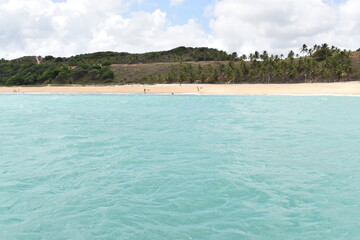 Beach, landscap