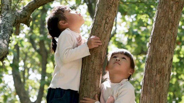 adorable little girl in long sleeve T-shirt climbs a tree outdoor in a summer park. Happy childhood.