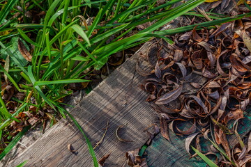 Old planks on the river bank