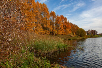 Fototapeta na wymiar Autumn river at the shore