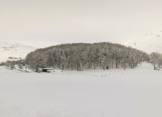 Great snowfall in Espinosa de los Monteros, Spain