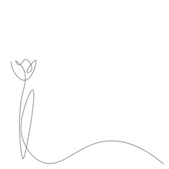 Spring tulip flower, vector illustration