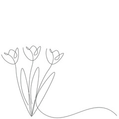 Spring tulips flowers, vector illustration