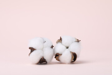 cotton buds on a pink background