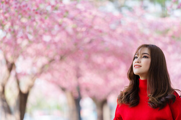 cheerful woman traveler looking cherry blossoms or sakura flower blooming in park