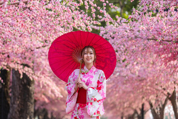 woman in yukata (kimono dress) holding umbrella and looking sakura flower or cherry blossom...