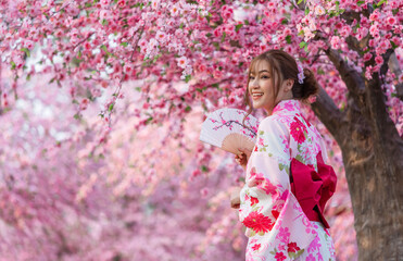 woman in yukata (kimono dress) holding folding fan and looking sakura flower or cherry blossom...