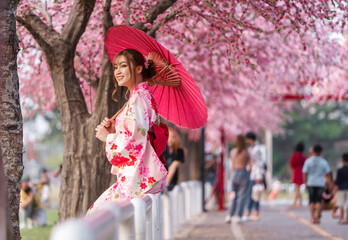 woman in yukata (kimono dress) holding umbrella and looking sakura flower or cherry blossom...