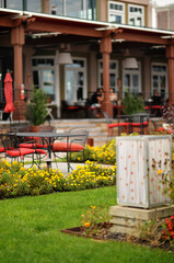 beautiful green park, in summer. NY