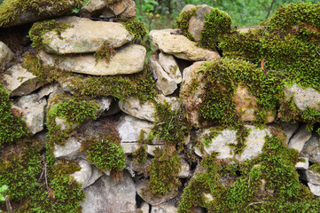 Moss on a tower of rocks 