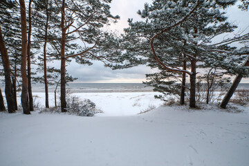 Beautiful winter nature. Latvia, Ainazi. neer STOP bar.