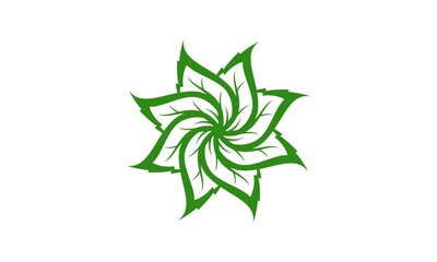 Group of leaf vector design