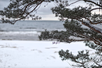 Beautiful winter nature. Latvia, Ainazi. neer STOP bar.
