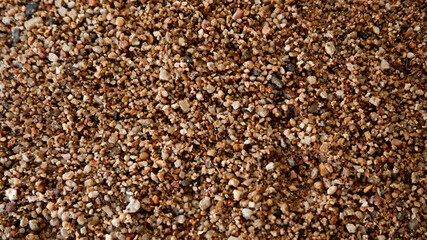 The grains of brown and white sand on the ground.
